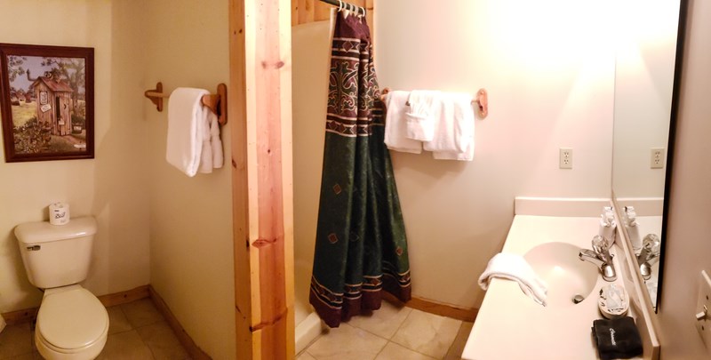 Lower level bathroom w/ shower