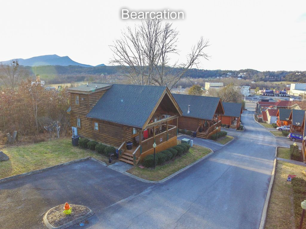 Welcome to Bearcation