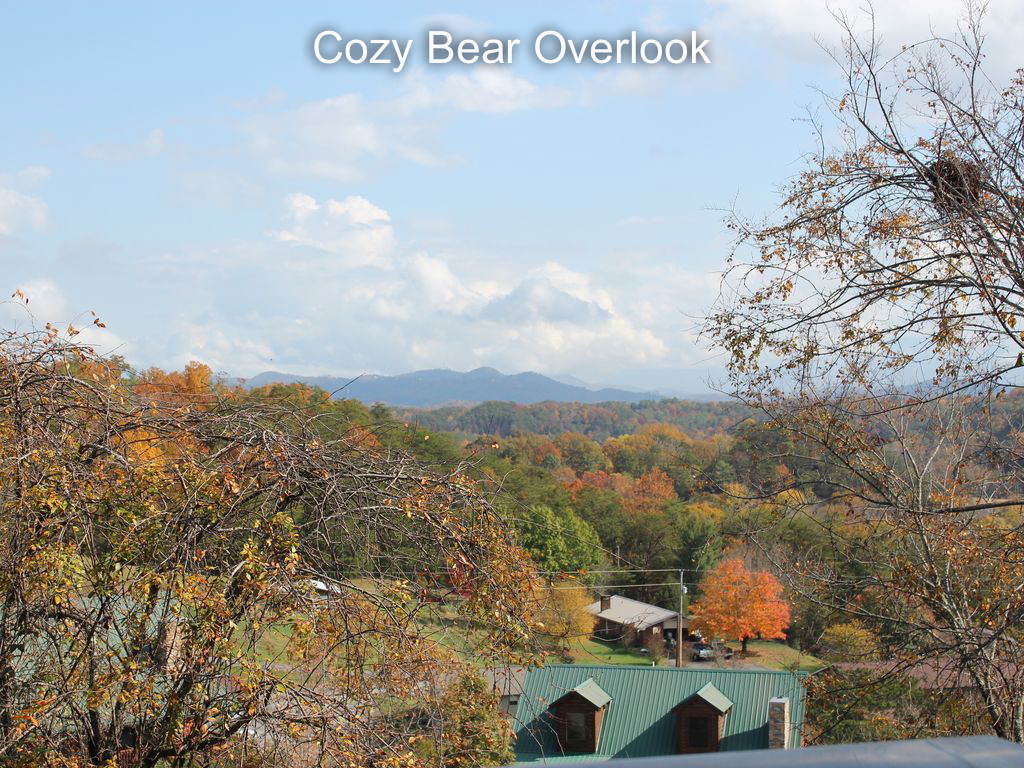 Fall view from Cozy Bear Overlook 